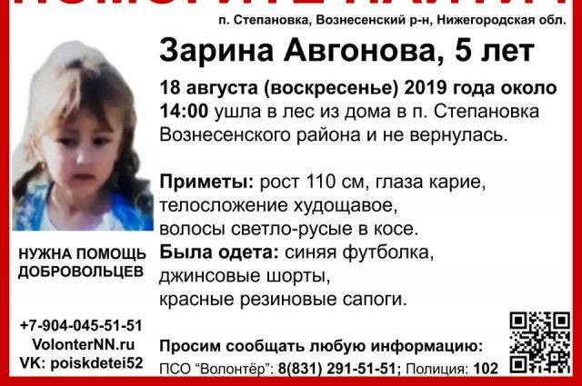 В поселке Степановка Нижегородской области трое суток ищут пятилетнюю Зарину Авгонову