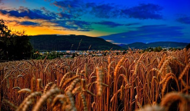 Мысль - основная действующая сила в Тонком Мире Мысль - основная действующая сила в Тонком Мире