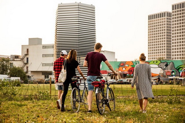 Городской пылесос-очиститель Smog Free Tower. Так ли эффективен?