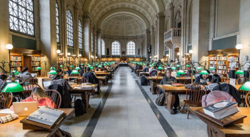 Чем гуманитарное образование сложнее технического и как получить наилучшее