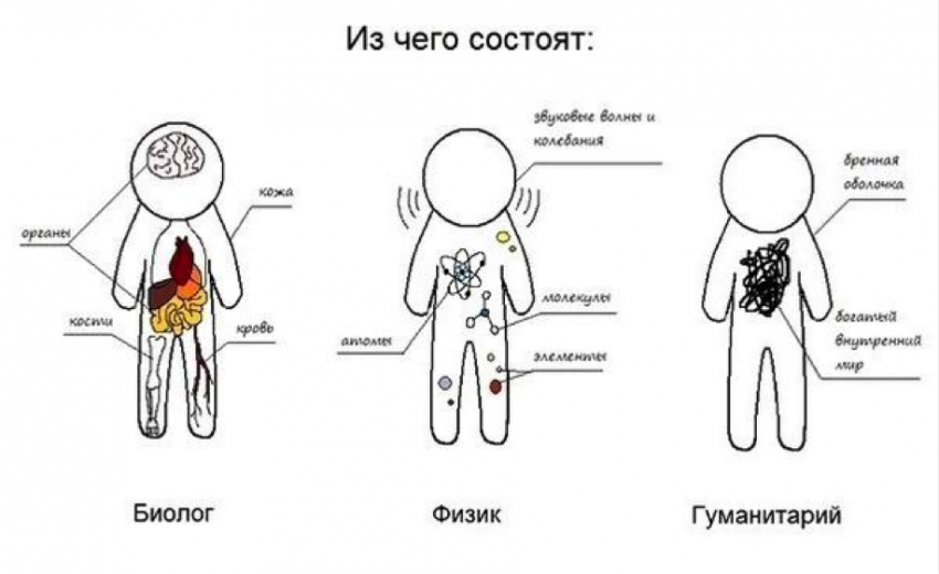 Чем гуманитарное образование сложнее технического и как получить наилучшее