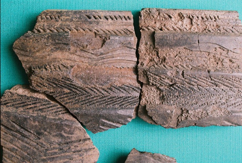 «Потеряли Киевскую Русь — значит, придется копать глубже», — Геннадий Зданович, «Аркаим»