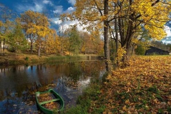 24 октября 2019 года отмечается Филиппова канитель