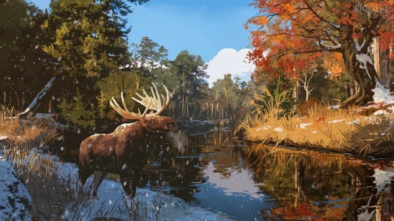 Скандинавский Новый год или «Зимние ночи» отмечают 26 октября 2019 года: история, традиции, что нельзя делать в этот день