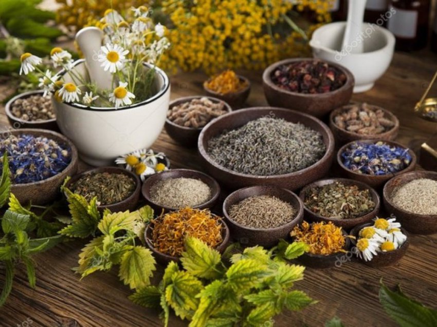 История магических трав славян с древнейших времен