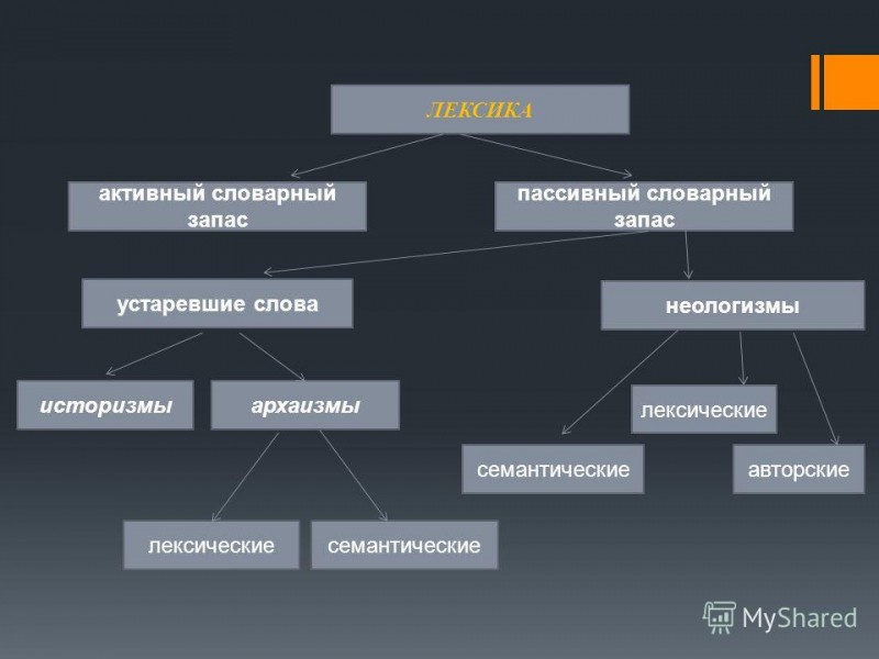 Что такое пассивный и активный словарный запас?