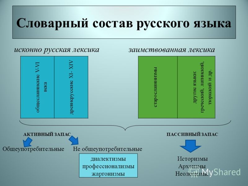 Что такое пассивный и активный словарный запас?