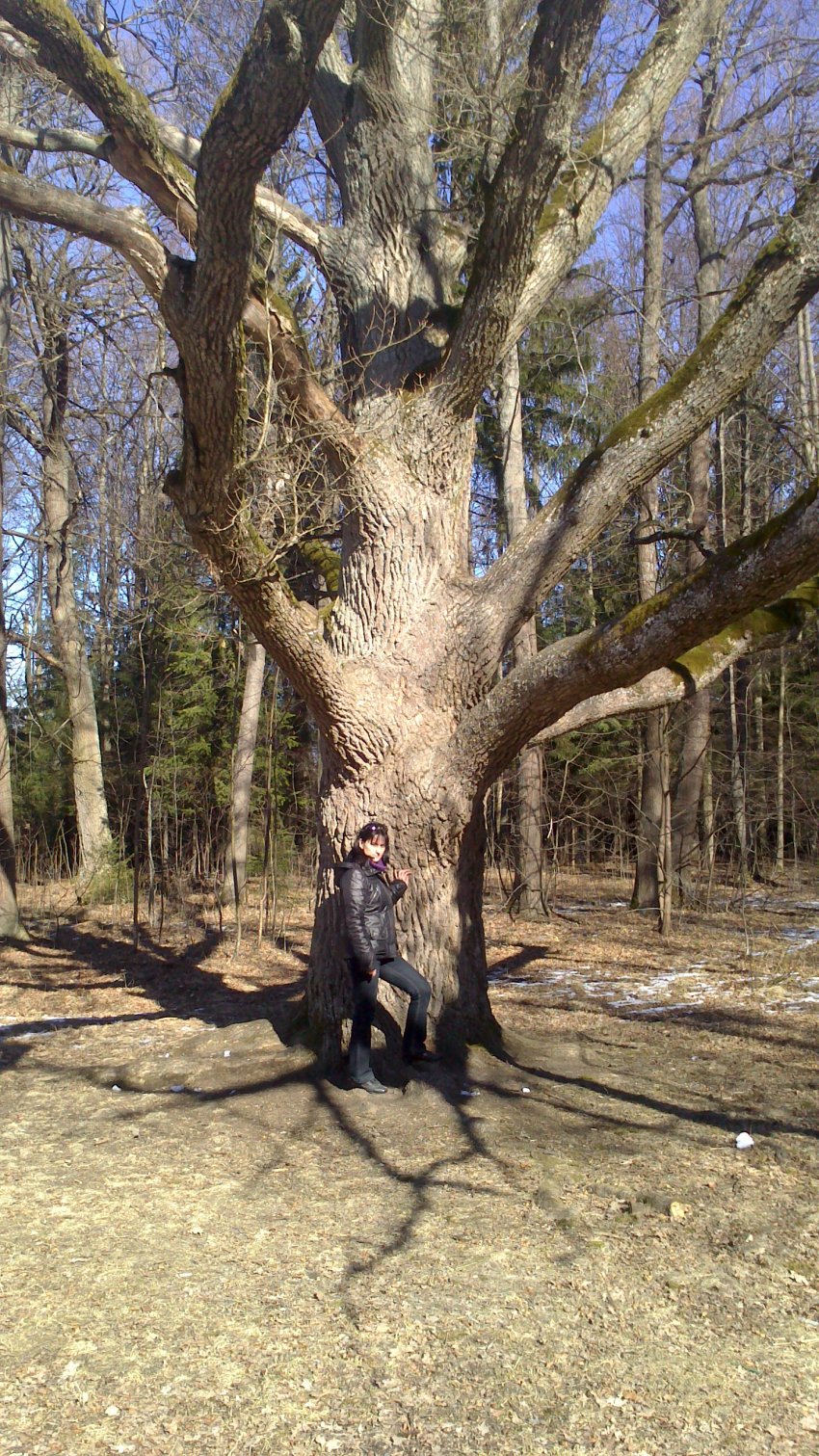 Когда утонул Пра-Питер. Часть 1.