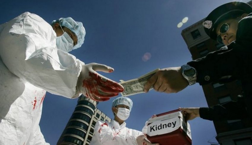 Смерть мозга и как легально вырезают органы у живых без анестезии?