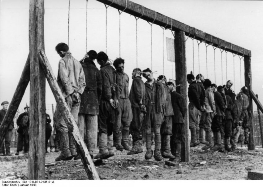 Белогвардейцы — новые национальные герои или преступники современной России?