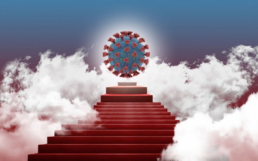 Covid-19 - легкое заболевание, не опаснее гриппа для населения