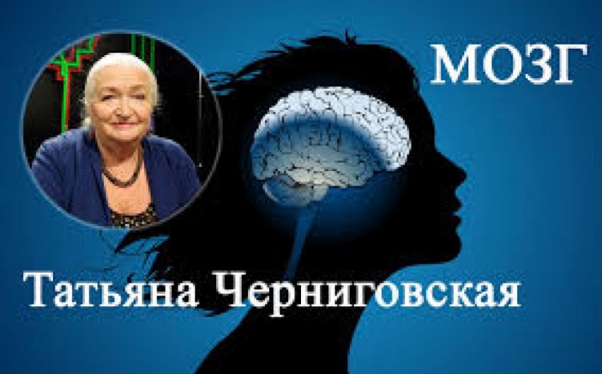 Прислушиваться к своему мозгу - мудрости нейролингвиста Татьяны Черниговской