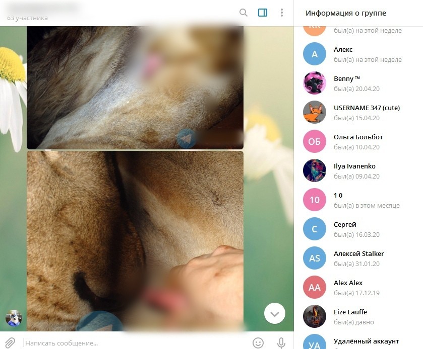 Деструктивная субкультура фурри - сетевые зоофилы заражают детей