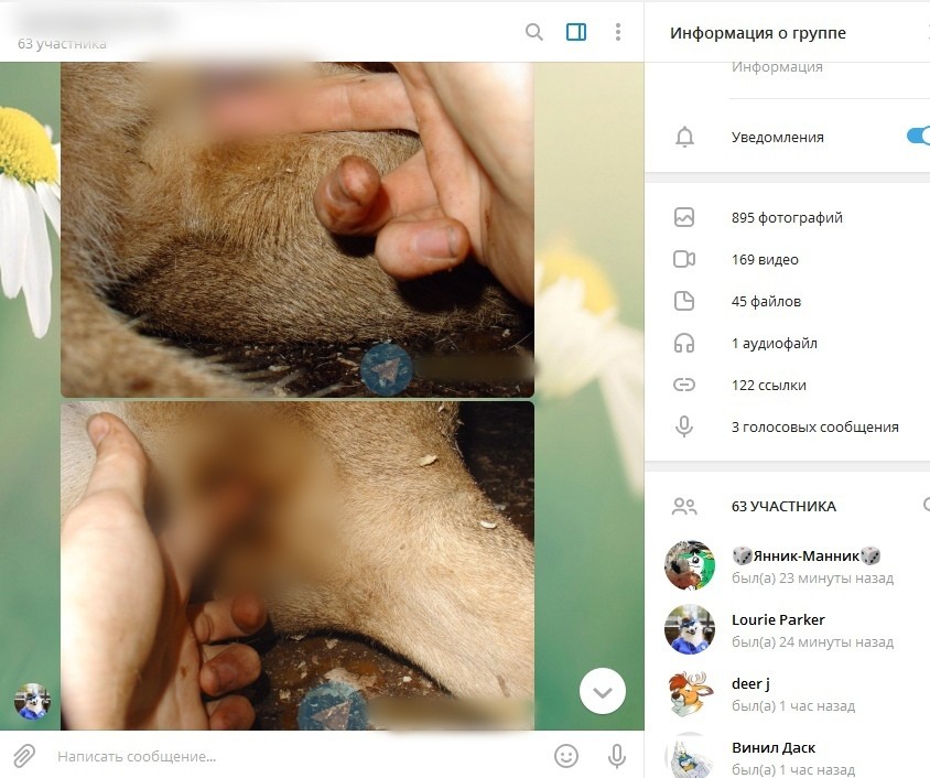 Деструктивная субкультура фурри - сетевые зоофилы заражают детей