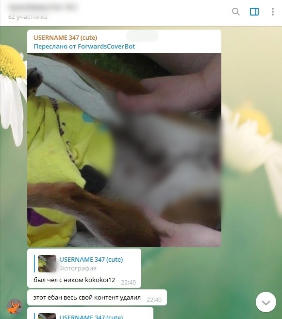 Деструктивная субкультура фурри - сетевые зоофилы заражают детей