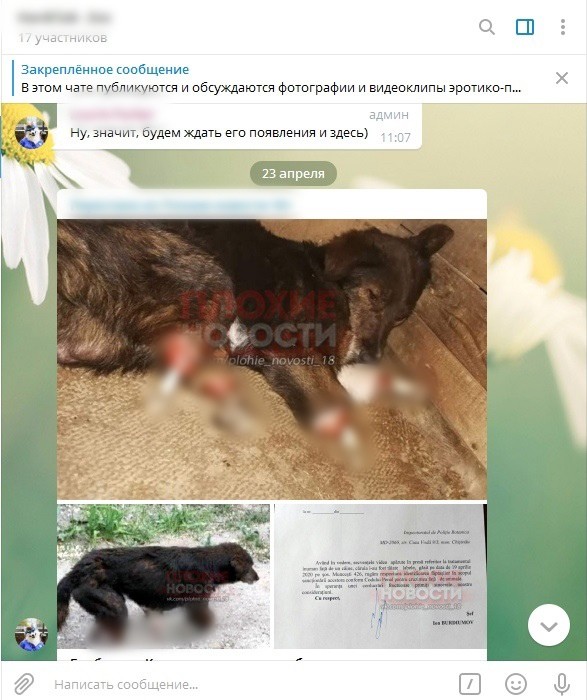 Деструктивная субкультура фурри - сетевые зоофилы заражают детей