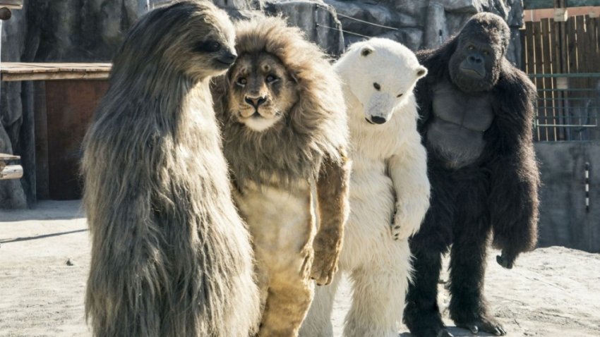 Для чего нужны зоопарки?