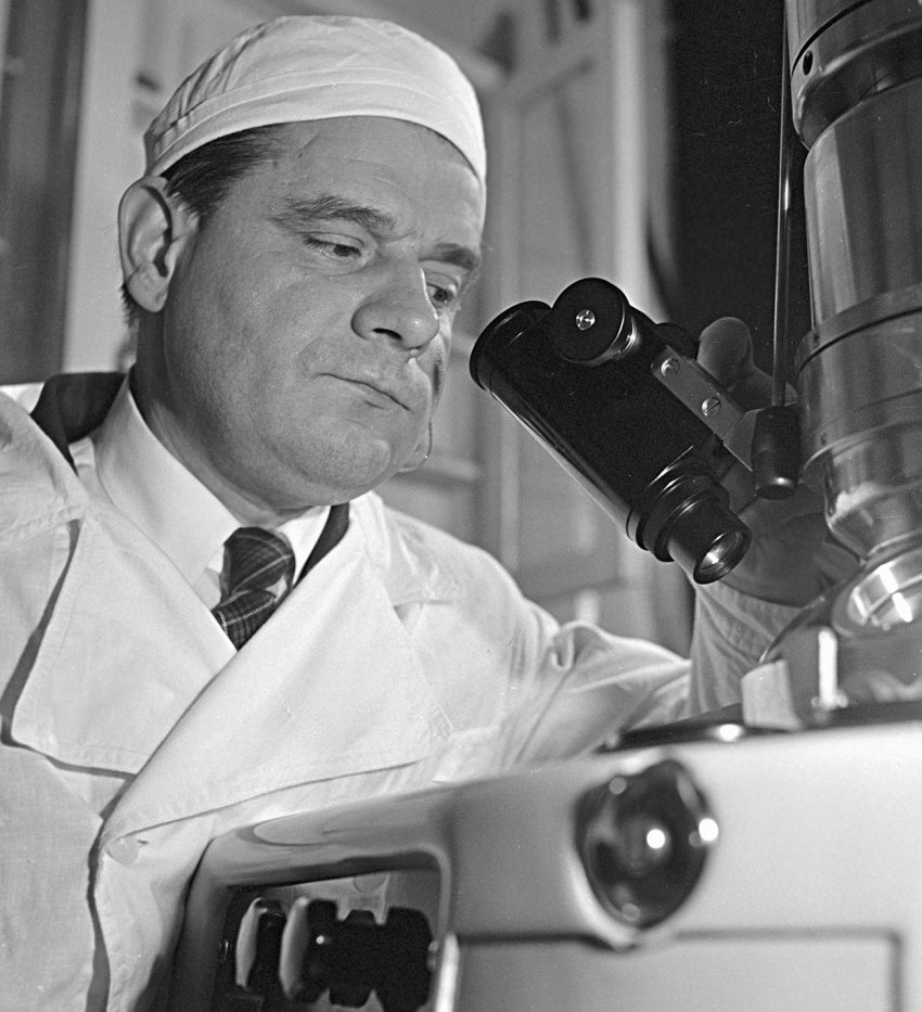 Как СССР помогал вакцинировать японцев