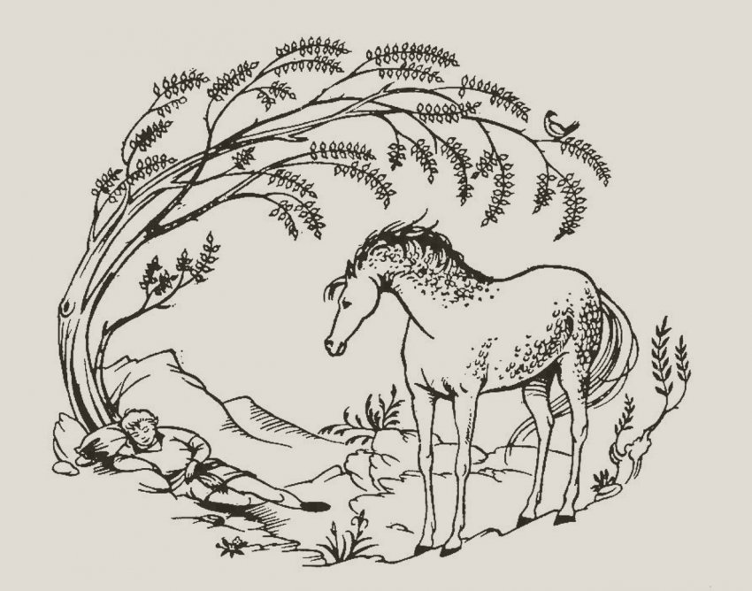 Кто такой волшебный помощник и как опознать его в сказках?