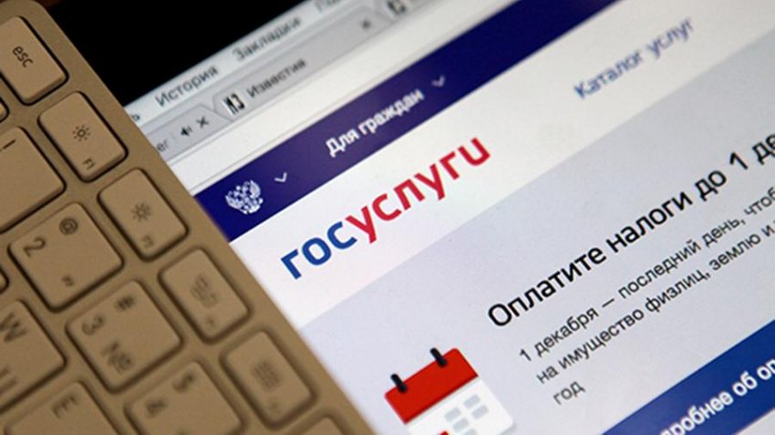 Появилась новая схема обмана с помощью портала «Госуслуги»