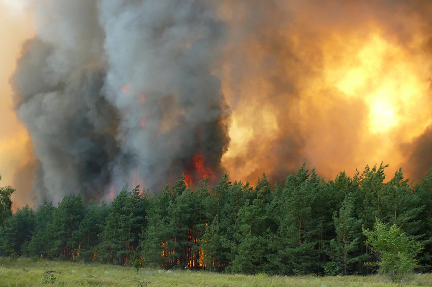 Как в СССР боролись с засухой 1972 года