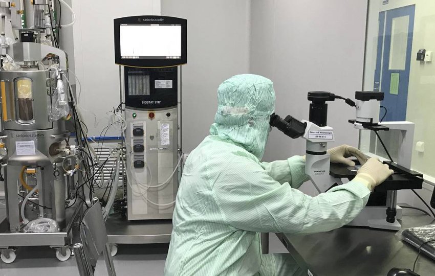 Ждать ли восстановления авиасообщения с США в ближайшее время