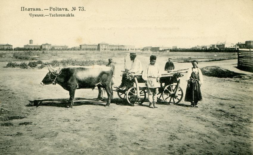 Чумаки: Как жили степные "дальнобойщики"?