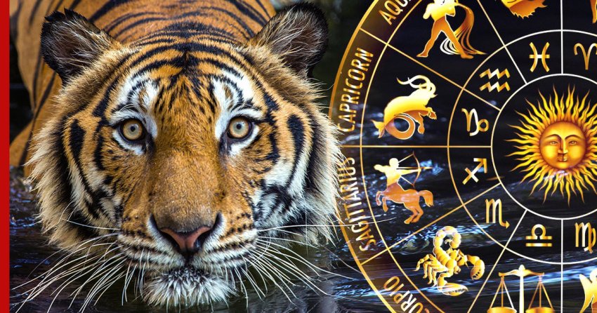 Когда наступит Новый год по восточному календарю 2022 года?