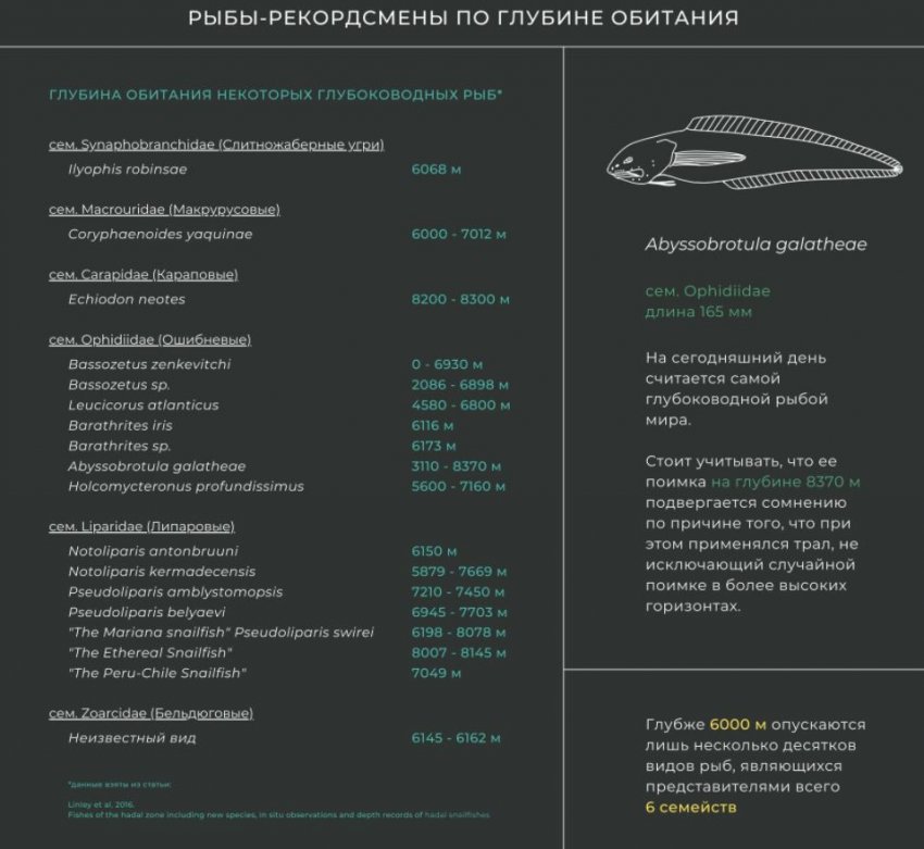 ТОП-5 Фактов о глубоководной части океана