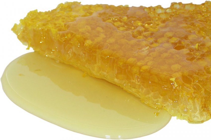 Health: яйца, мёд и курица оказались источниками жиров и сахара