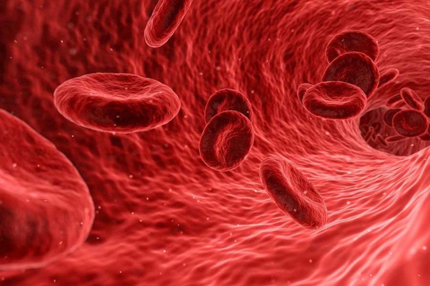Британцы создали материал для лечения переломов на основе крови