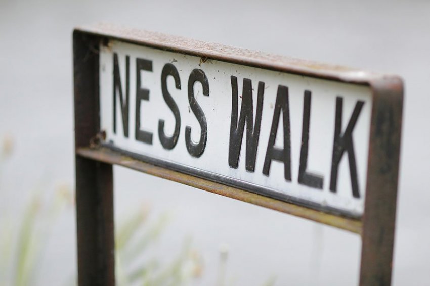 Натуралист предложил еще одно объяснение тайны Лох-Несского чудовища