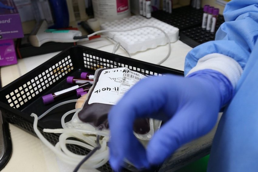 Переливание крови помогает снизить смертность у пациентов с анемией
