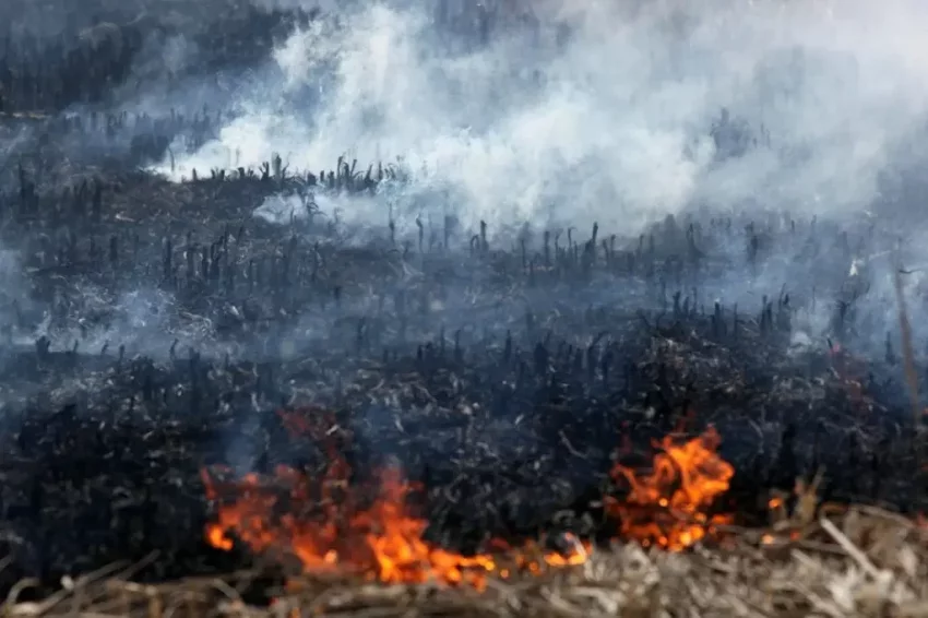 Уничтожим Украину, чтобы не досталась русским. Тактика выжженной земли против грандиозного праздника Победы