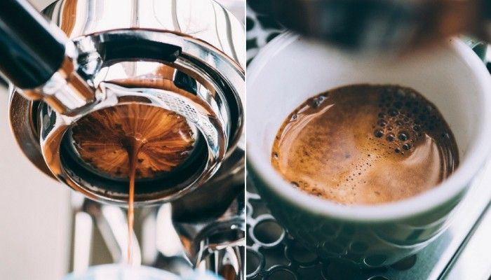 Чем отличаются арабика и робуста: какой кофе действительно лучше и почему
