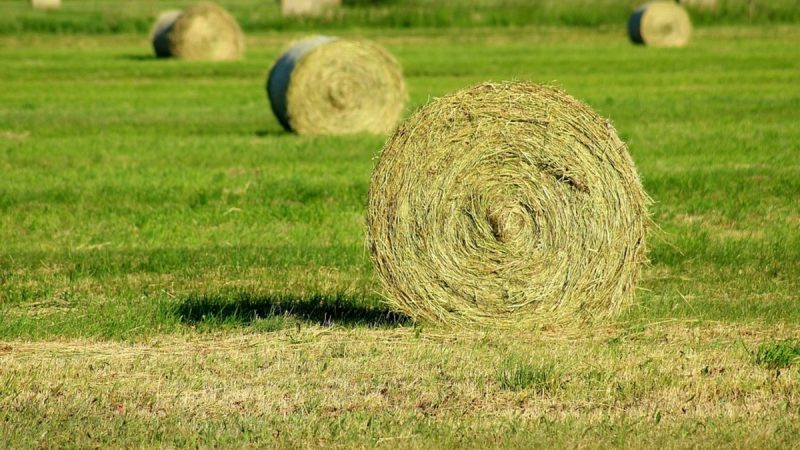 Приметы и поверья на 18 августа 2025 года, по которым судят погоду зимой
