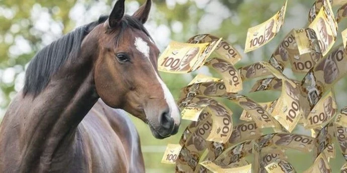 Пора брать инициативу в свои руки: большой денежный гороскоп на 2026 год для всех знаков зодиака