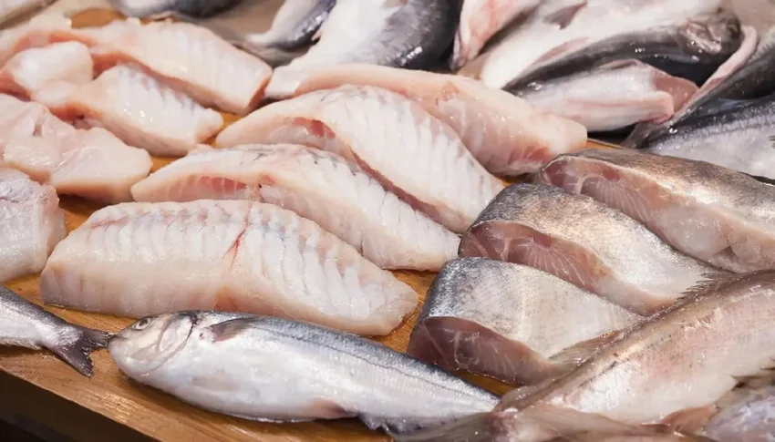 Рыбный вопрос: ЕС оказался среди крупнейших покупателей российской рыбы