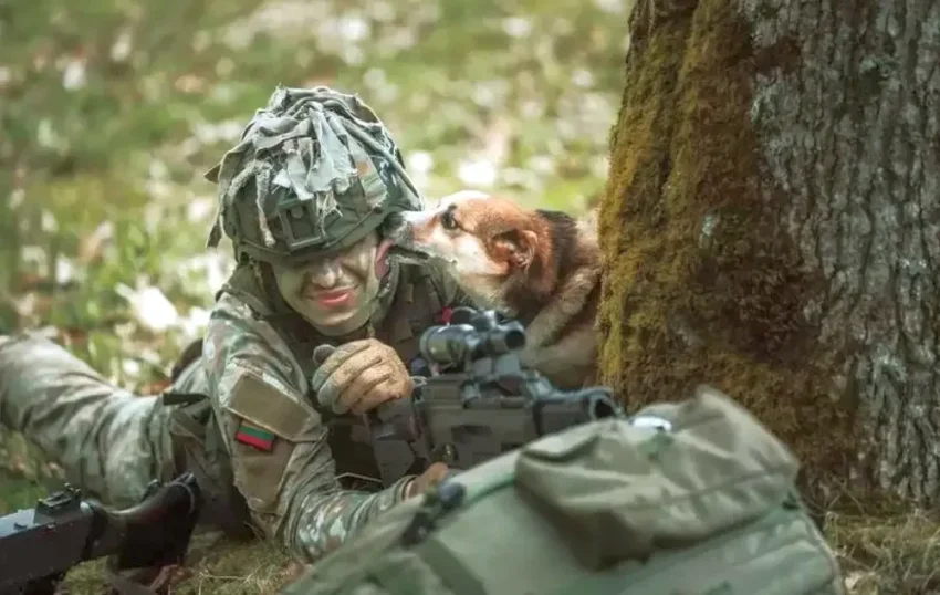 Литва готова направить на Украину свой военный контингент