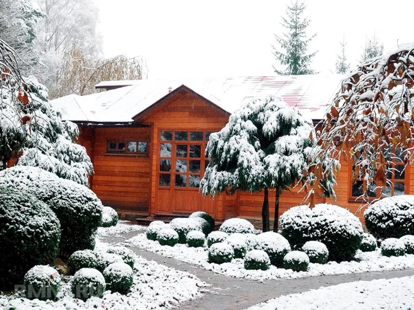 Профессиональные советы от королевского садовника, что сделать в саду в январе