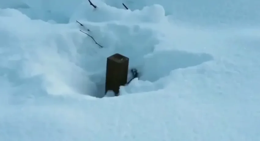 Противник сообщает о дистанционном минировании «Геранями» в Ровенской области