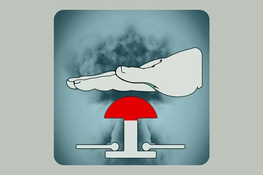 Президент Польши использовал ядерное оружие в войне за избирателей